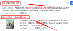漢川市高老二食品有限公司與本司簽約網(wǎng)站設(shè)計項(xiàng)目