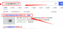 山東硅元新型材料有限責任公司跟本公司簽訂網(wǎng)頁設(shè)計合同