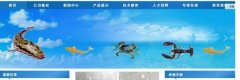 海南定安*美生物工程有限公司企業(yè)網站建設有創(chuàng)意的主題設計