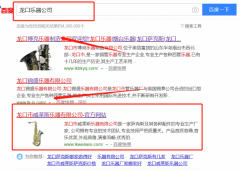 龍口市*萊斯樂器有限公司網站建設有創(chuàng)意的主題設計