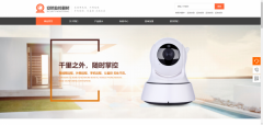 企業(yè)做網站企業(yè)門戶網站的信息化建設所展現的作用分析