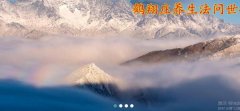 北京鶴*文化發(fā)展有限公司網(wǎng)站建設(shè)新一代自助建站、智能建站系統(tǒng)
