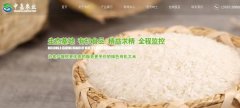 豐城市中*農(nóng)業(yè)發(fā)展有限公司網(wǎng)站建設(shè)新一代自助建站、智能建站系統(tǒng)